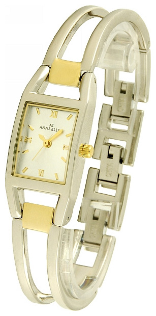 Anne Klein 8331SVTT pictures