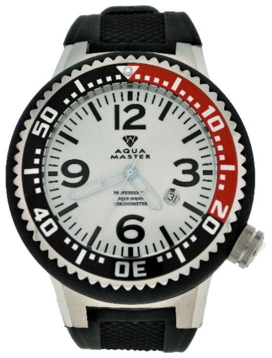 Aqua Master AQ-LG_WS wrist watches for men - 1 photo, image, picture