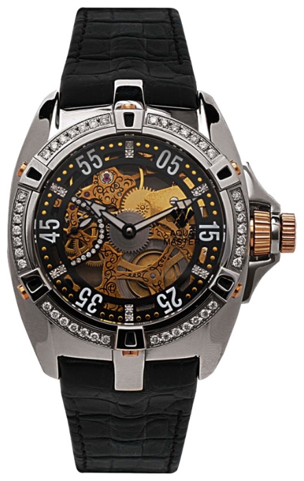 Aqua Master w-201bb wrist watches for men - 1 image, picture, photo