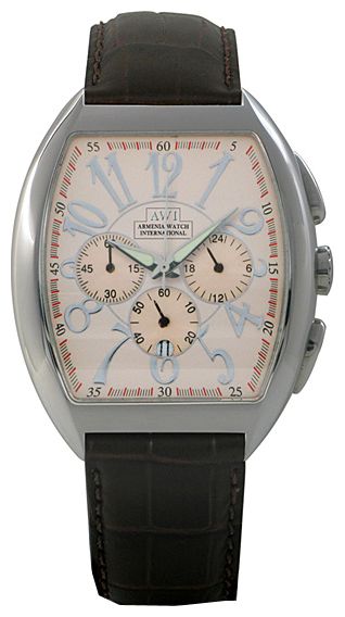 AWI SC 24 C wrist watches for men - 1 photo, image, picture