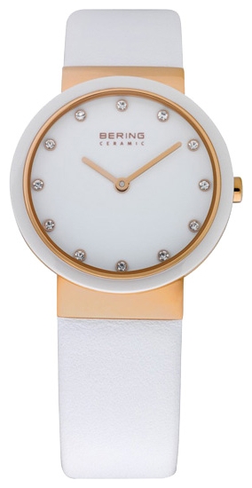 Bering 10729-642 pictures