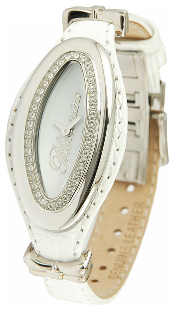 Blumarine BM.3003L/03Z wrist watches for women - 1 picture, image, photo