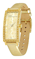 Blumarine BM.3069LS/38 wrist watches for women - 1 photo, image, picture