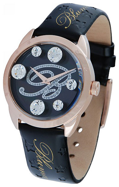 Blumarine BM.3119LS/02 wrist watches for women - 1 image, photo, picture