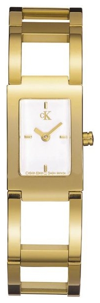 Wrist watch Calvin Klein for Women - picture, image, photo