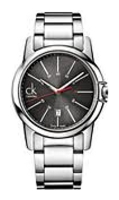 Wrist watch Calvin Klein for Men - picture, image, photo