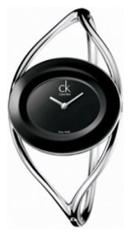 Wrist watch Calvin Klein for Women - picture, image, photo