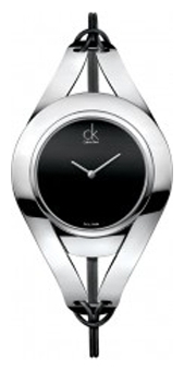 Wrist watch Calvin Klein for Women - picture, image, photo