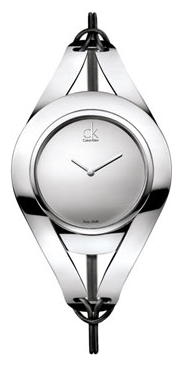 Wrist watch Calvin Klein for Women - picture, image, photo