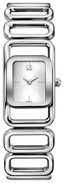 Wrist watch Calvin Klein for Women - picture, image, photo