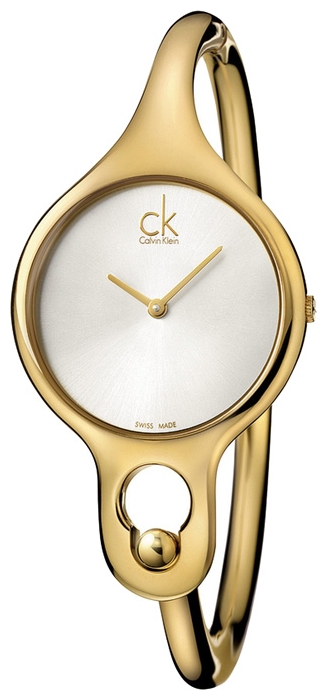 Wrist watch Calvin Klein for Women - picture, image, photo