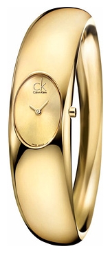 Wrist watch Calvin Klein for Women - picture, image, photo