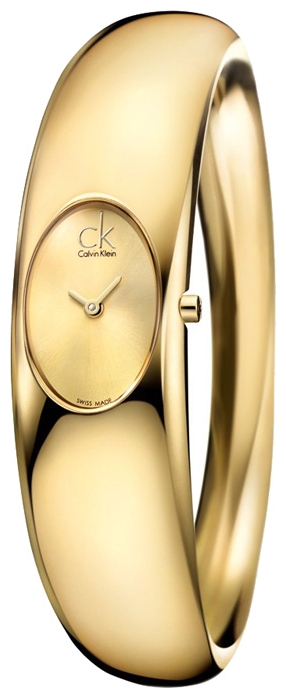 Wrist watch Calvin Klein for Women - picture, image, photo