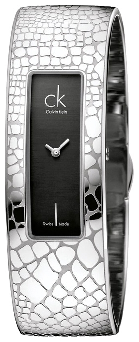 Wrist watch Calvin Klein for Women - picture, image, photo