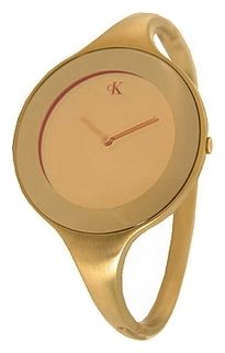 Wrist watch Calvin Klein for Women - picture, image, photo