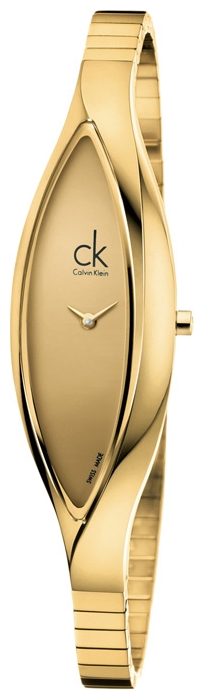 Wrist watch Calvin Klein for Women - picture, image, photo