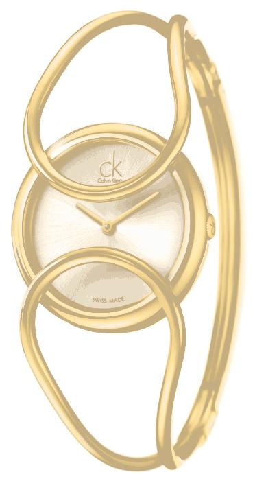 Calvin Klein K4C2S5.16 wrist watches for women - 1 photo, image, picture