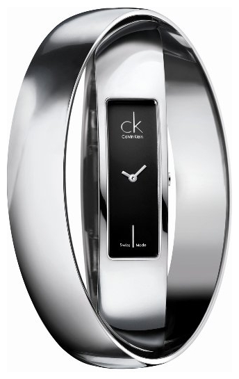 Wrist watch Calvin Klein for Women - picture, image, photo