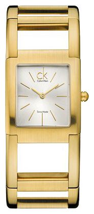 Wrist watch Calvin Klein for Women - picture, image, photo