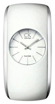 Wrist watch Calvin Klein for Women - picture, image, photo