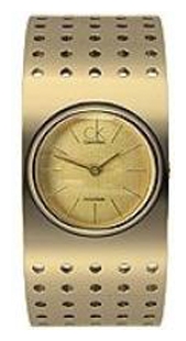 Wrist watch Calvin Klein for Women - picture, image, photo