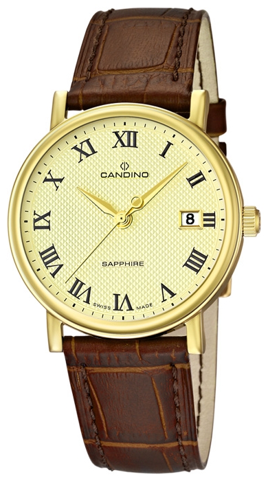 Candino C4489_4 wrist watches for men - 1 picture, photo, image