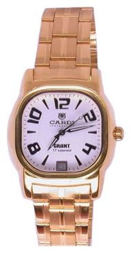Cardi 82801-31-8 wrist watches for men - 1 image, picture, photo