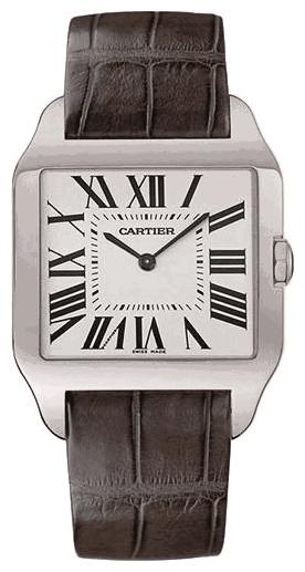 Cartier W2008751 wrist watches for men - 1 photo, picture, image