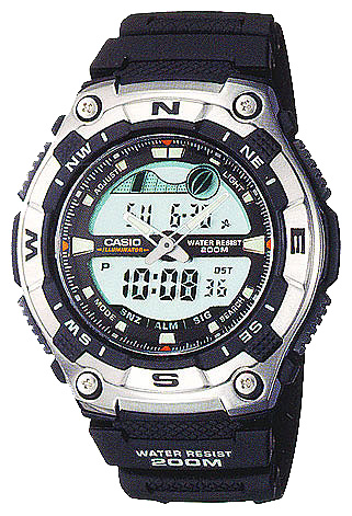 Wrist watch Casio for Men - picture, image, photo