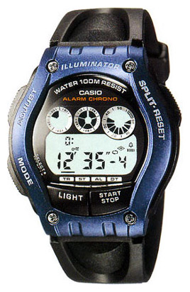 Wrist watch Casio for Men - picture, image, photo