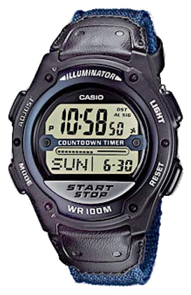 Wrist watch Casio for Men - picture, image, photo