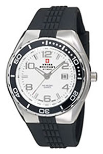 Chrono 20029ST-2RUB wrist watches for men - 1 image, photo, picture