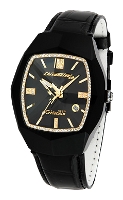 Wrist watch Chronotech for Men - picture, image, photo