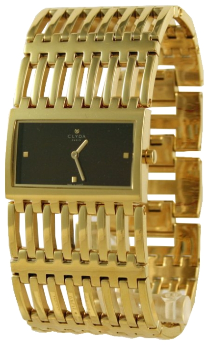 Clyda CLD0289PMIX wrist watches for women - 1 picture, image, photo