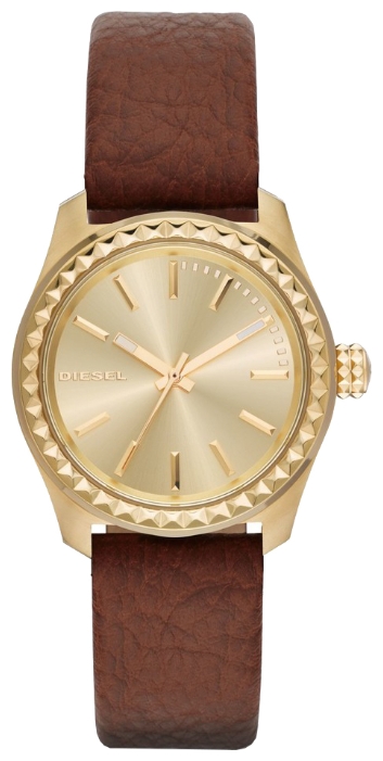 Diesel DZ5409 wrist watches for women - 1 photo, picture, image