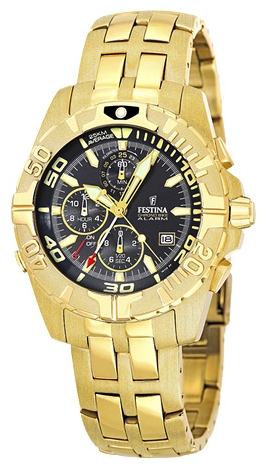 Wrist watch Festina for Men - picture, image, photo