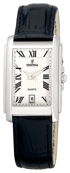 Wrist watch Festina for Men - picture, image, photo