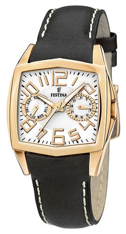 Festina F16266/3 pictures