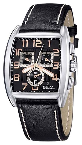 Wrist watch Festina for Men - picture, image, photo