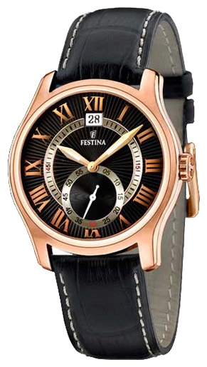 Festina F16350/C pictures