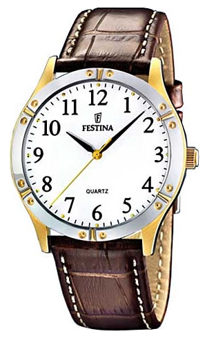 Wrist watch Festina for Men - picture, image, photo