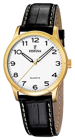 Wrist watch Festina for Men - picture, image, photo