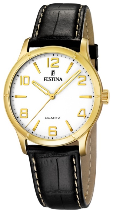 Festina F16452/3 wrist watches for men - 1 photo, picture, image