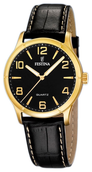 Wrist watch Festina for Men - picture, image, photo