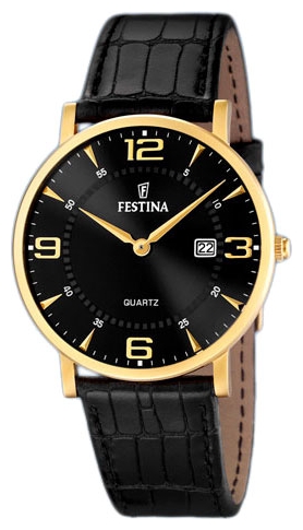 Wrist watch Festina for Men - picture, image, photo