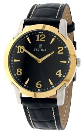 Wrist watch Festina for Men - picture, image, photo