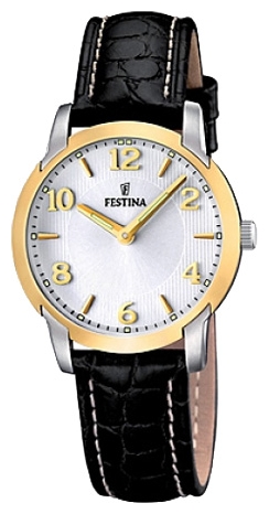 Festina F16545/3 pictures