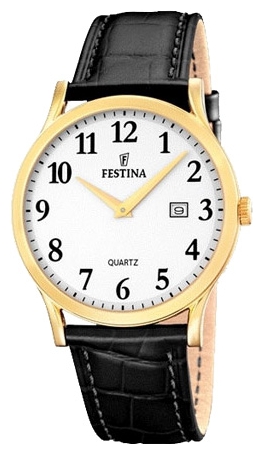 Wrist watch Festina for Men - picture, image, photo