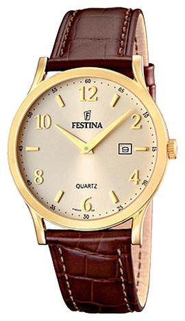 Wrist watch Festina for Men - picture, image, photo