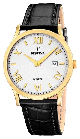 Wrist watch Festina for Men - picture, image, photo